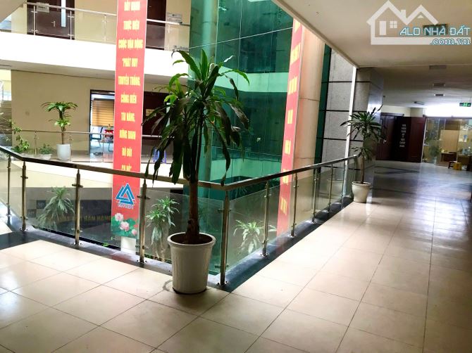 CHO THUÊ VP THOÁNG ĐẸP 120M2, 140M2 TẠI MẶT PHỐ LÊ TRỌNG TẤN, THANH XUÂN, HN. - 3