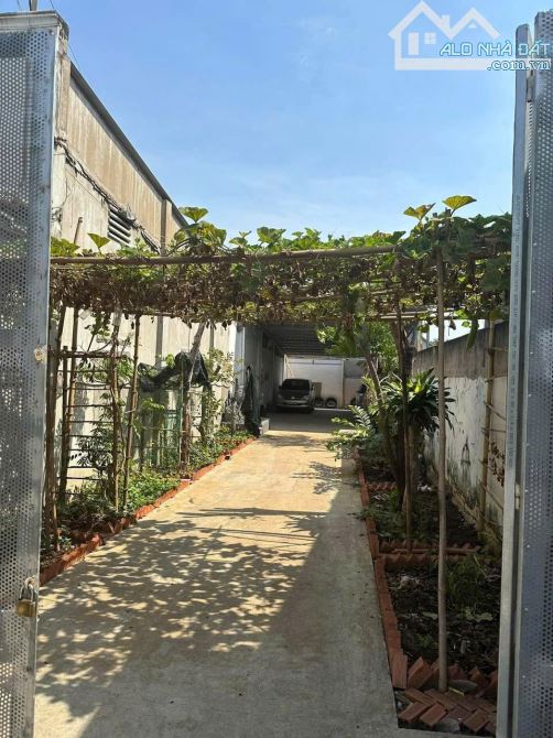 🌿 CẦN RA ĐI MIẾNG ĐẤT TẶNG KÈM SÂN VƯỜN – BÌNH ĐA, BIÊN HÒA - 3