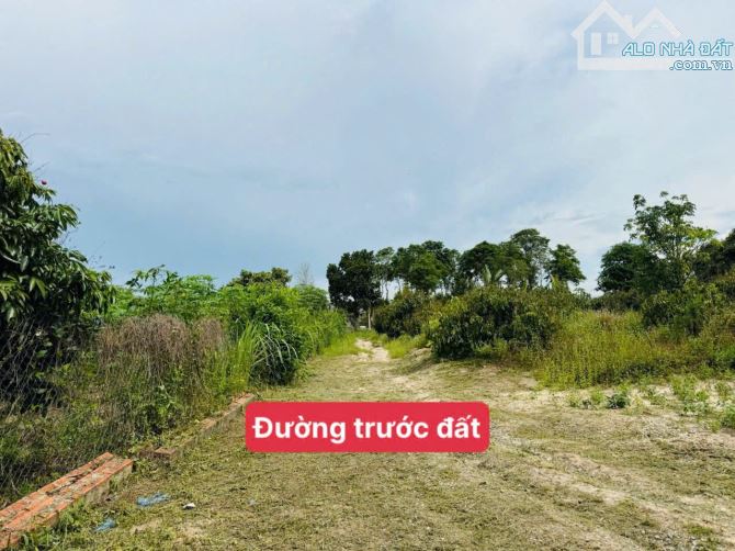 Lốc 5 lô liền kề tại thị trấn Eakar - DakLak chỉ 179 triệu/1 lô - 3