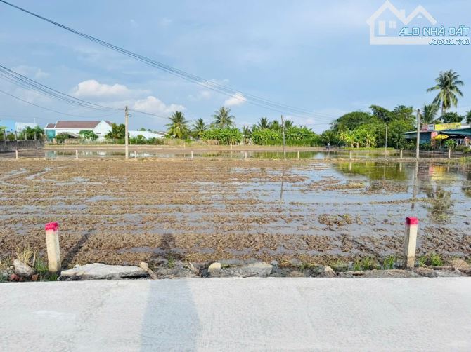 📣📣📣 BÁN ĐẤT THỔ CƯ XÃ ĐỨC TÂN - TÂN TRỤ - LONG AN ❌DT: 5x27m vuông vức (135m2) full thổ - 3