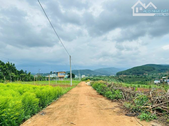 Bán đất tại Mê Linh, Lâm Đồng . Sổ hồng 267m2 . Cách Đà Lạt 21km - 3