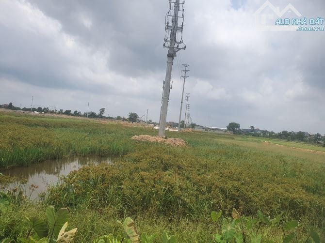 CTY cần bán nhanh 2,5ha đất SXKD Cụm Phùng Chí Kiên, mặt đường Phạn Ngũ Lão, chỉ 3,1 tr/m - 3