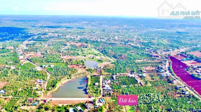 Bán lốc 8 lô tại Ea Kiết - Cư Mgar DakLak 169 triệu/1 sổ - 4