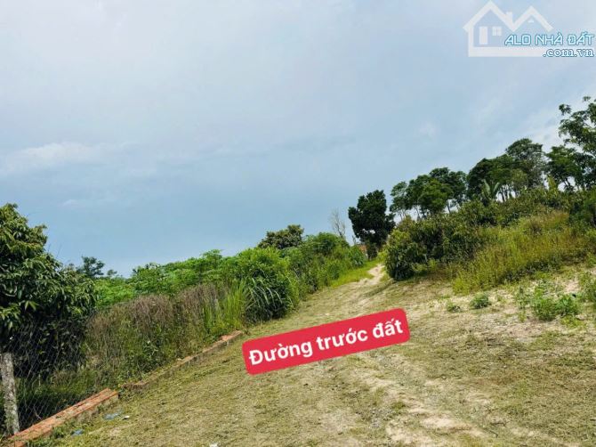 Lốc 5 lô liền kề tại thị trấn Eakar - DakLak chỉ 179 triệu/1 lô - 4