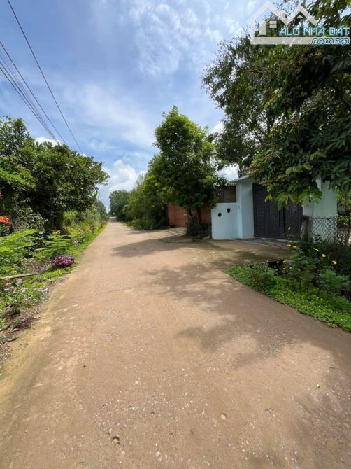 Sở hữu ngay lô đất nền cách quốc lộ 20 400m với DT: 204M2(5mX40m) thổ cư chỉ 650 triệu - 4