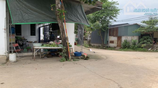 Tài chính chưa đến 2 tỷ sở hữu mảnh đất gần quốc lộ tại Đông Sơn - 5