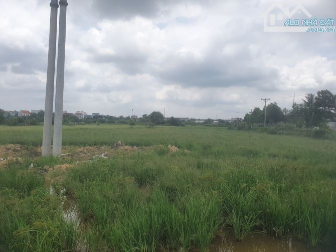 CTY cần bán nhanh 2,5ha đất SXKD Cụm Phùng Chí Kiên, mặt đường Phạn Ngũ Lão, chỉ 3,1 tr/m - 5