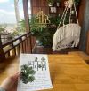 Homestay Đẹp Mộng Mơ trung tâm Thành Phố Buôn Ma Thuột 📣 Phường Tân Lợi !