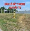 bán lô đất 1500m2- thổ cư- thị trấn hậu nghĩa- gần dự án vinhomes- giá tốt cho anh chị ạ