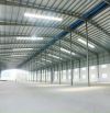 💥 CHO THUÊ XƯỞNG KCN LONG MỸ QUY NHƠN BÌNH ĐỊNH 24.000m2