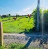 1000m2 đất 🌾giá 549tr đường 🚗cóc, sổ sẵn dân đông