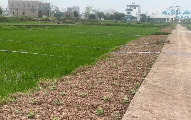 bán nhanh lô đất nằm trên trục đường huyện Xã Vũ Hoà đi Vũ Công