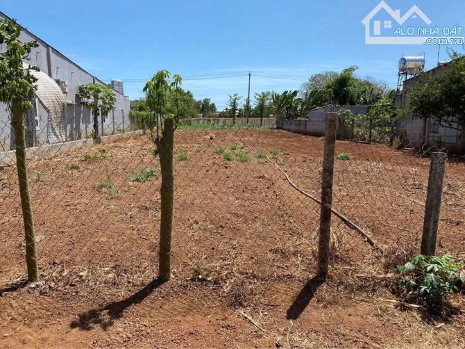 Đất mặt tiền đường số 9 - Suối Nghệ - Châu Đức -( Bà Rịa Vũng Tàu )Hồ Chí Minh