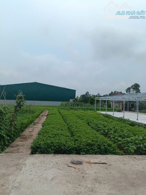 Bán đất- Đông Phương,đầu tư chắc thắng,Vị trí đẹp,giá rẻ nhất thị trường,DT: 150m,Giá:1tỉ