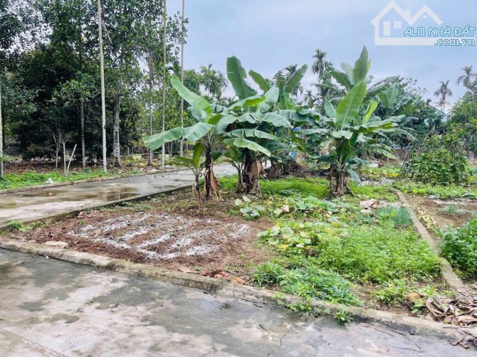Chào bán 1 lô góc duy nhất trung tâm Lâm Động ,TP. Thuỷ Nguyên đường oto ra vào thoải mái