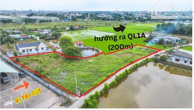 Đất Đẹp Full Thổ – Lộ Giới 12m – Trung Tâm Bến Lức – SHR