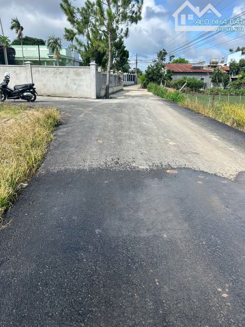 BÁN NHANH LÔ ĐẤT ĐẸP – GẦN ĐƯỜNG THỐNG NHẤT – PHÚ HỘI, LIÊN NGHĨA  LÂM ĐỒNG