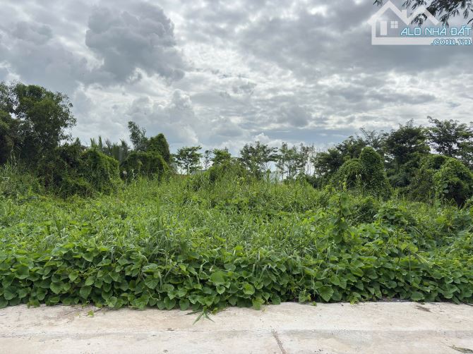 980m2 Đất Thổ Cư Long Thới Nhà Bè Ngay Nút Giao Thông CT Bến Lức-Long Thành Giá Tốt