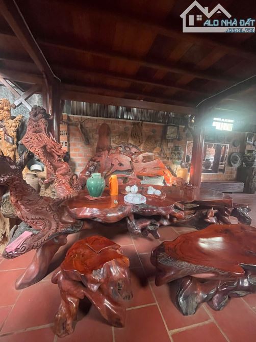 Bán Nhà mặt tiền Trường Chinh, P Chi Lăng, TP Pleiku, Gia Lai