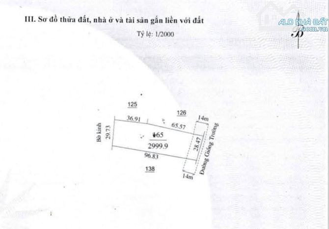 Bán 3000m2 đất mặt tiền đường nhựa Giồng Trường