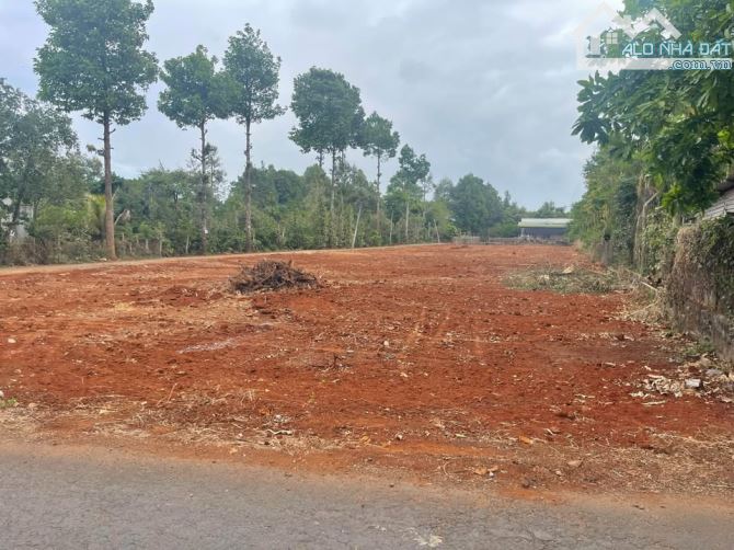 Lô Đất mặt tiền kinh doanh thôn 3 Trung Tâm Cư Suê đường liên xã