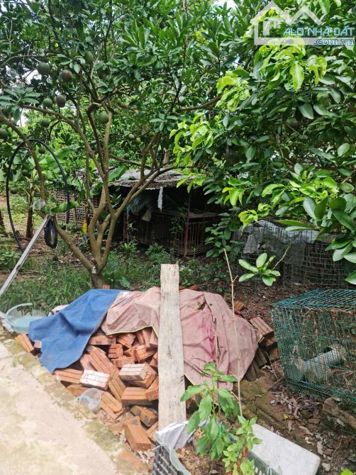 Bán Đất 74m² Ngũ Hiệp – Thanh Trì, Vị Trí Đẹp – Giá Chỉ 5,5 Tỷ!