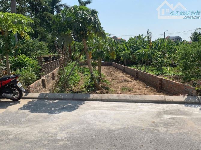 Bán mảnh đấy 95m2 khu đấu giá Viên Nội,Vân Nội,Đông Anh,Hà Nội