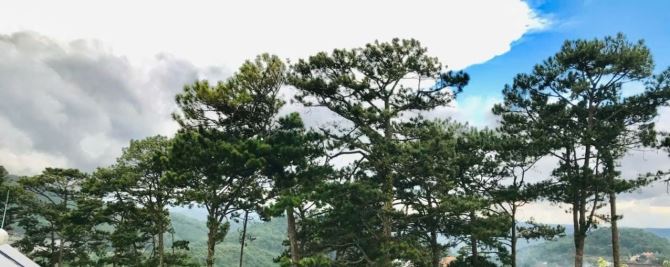 VILLA HAI  MẶT TIỀN YÊN THẾ VIEW CỰC ĐẸP KHU ĐÁNG SỐNG CÁCH HỒ XUÂN HƯƠNG 2KM - 11