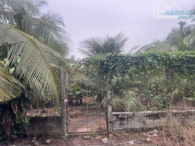 Bán 1.900 m2 đất có thổ cư mặt đuờng Cột Cờ,cách QL50 1km,Đạo Thạnh Mỹ Tho - 1
