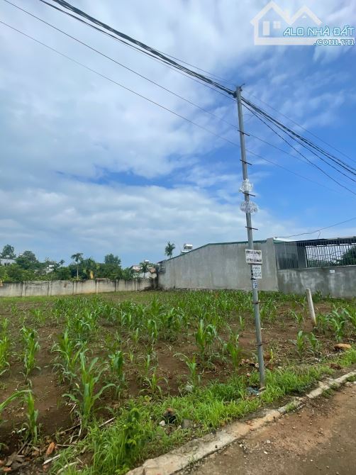 5x35m ĐẤT THỔ CƯ NGAY GẦN CHỢ DUY HOÀ. HẺM CẤP 1 QL14 - 1