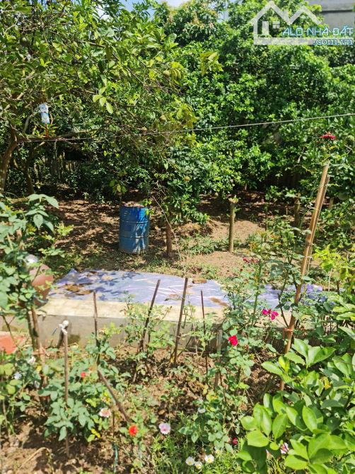 Bán Đất 74m² Ngũ Hiệp – Thanh Trì, Vị Trí Đẹp – Giá Chỉ 5,5 Tỷ! - 1