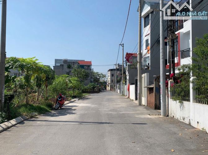 Bán mảnh đấy 95m2 khu đấu giá Viên Nội,Vân Nội,Đông Anh,Hà Nội - 1