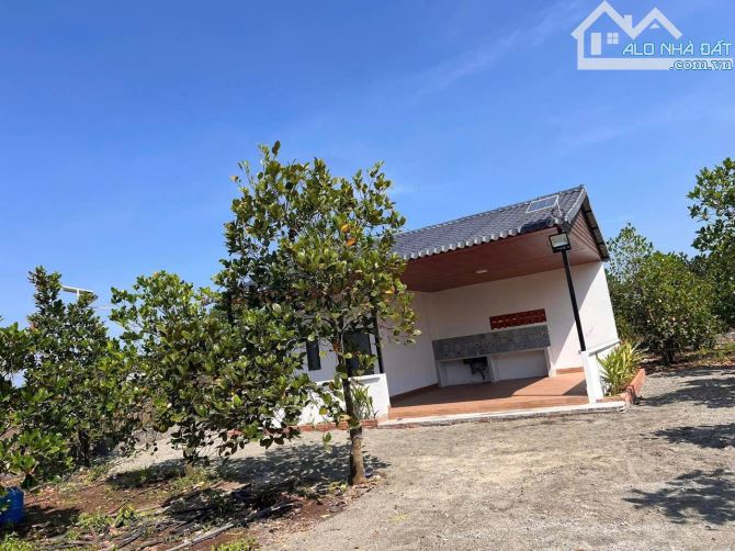 Giảm Giá Bán Nhanh Căn Nhà Vườn 1 Sào Cách Hồ Suối Môn 200m - 2