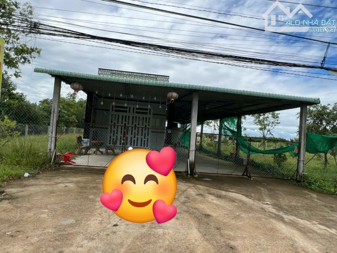 40 x 61 có 1137m2 thổ cư MT ĐT838B tại xã Mỹ Thạnh Tây - 2