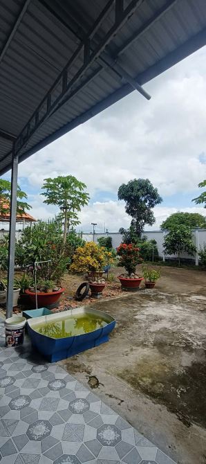 Bán nhà vườn Cần Giuộc, đường Trương Văn Bang, hẻm xe hơi, 891m2, hỗ trợ vay 6 tỷ - 2