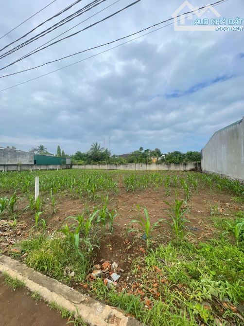 5x35m ĐẤT THỔ CƯ NGAY GẦN CHỢ DUY HOÀ. HẺM CẤP 1 QL14 - 2