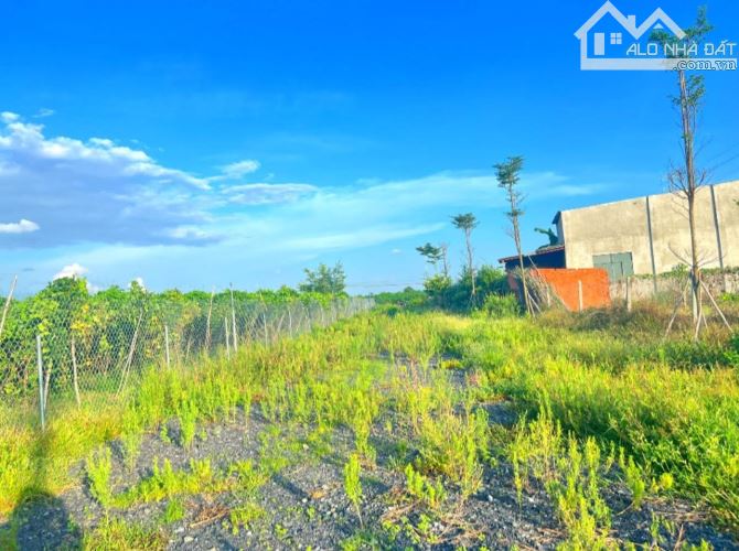 Bán 4158m2 đất View Núi Bà Đen, Ninh Sơn, Tây Ninh - 2