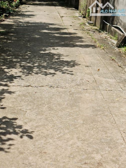 Bán Đất 74m² Ngũ Hiệp – Thanh Trì, Vị Trí Đẹp – Giá Chỉ 5,5 Tỷ! - 2