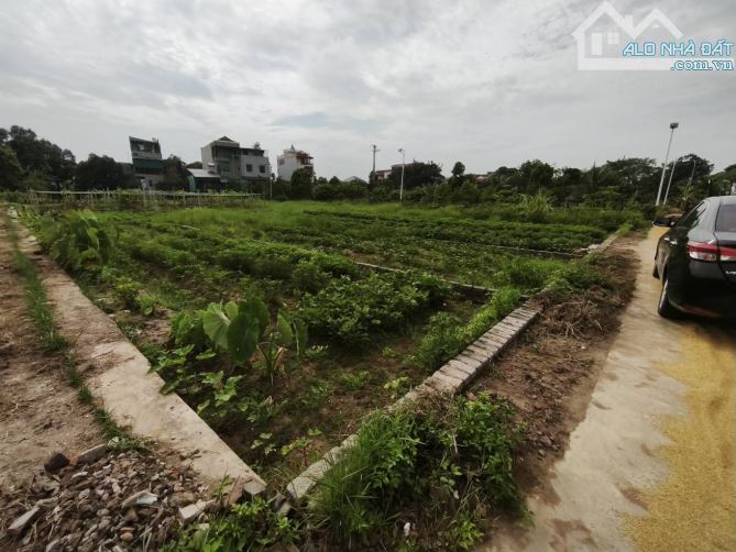 PHÚ HOÀ -LƯƠNG TÀI-BẮC NINH-ĐƯỜNG THÔNG Ô TÔ 7 CHỖ-ĐẦU TƯ DÒNG TIỀN TĂNG VỌT- GIÁ 1,3 TỶ- - 2