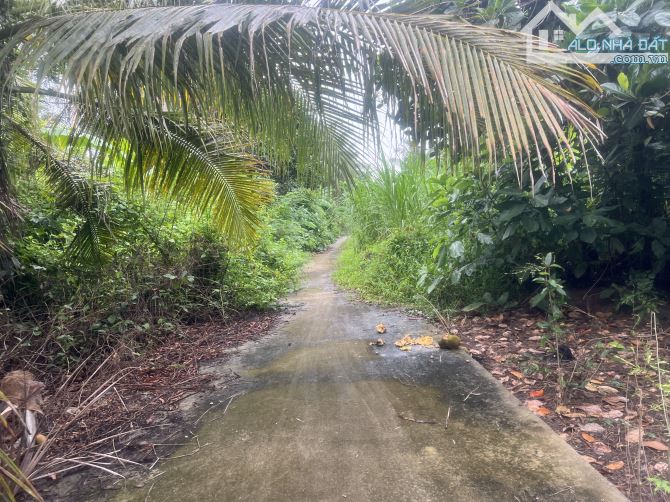 Bán 1.900 m2 đất có thổ cư mặt đuờng Cột Cờ,cách QL50 1km,Đạo Thạnh Mỹ Tho - 3