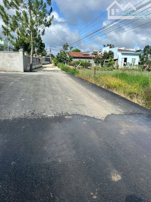 BÁN NHANH LÔ ĐẤT ĐẸP – GẦN ĐƯỜNG THỐNG NHẤT – PHÚ HỘI, LIÊN NGHĨA  LÂM ĐỒNG - 3