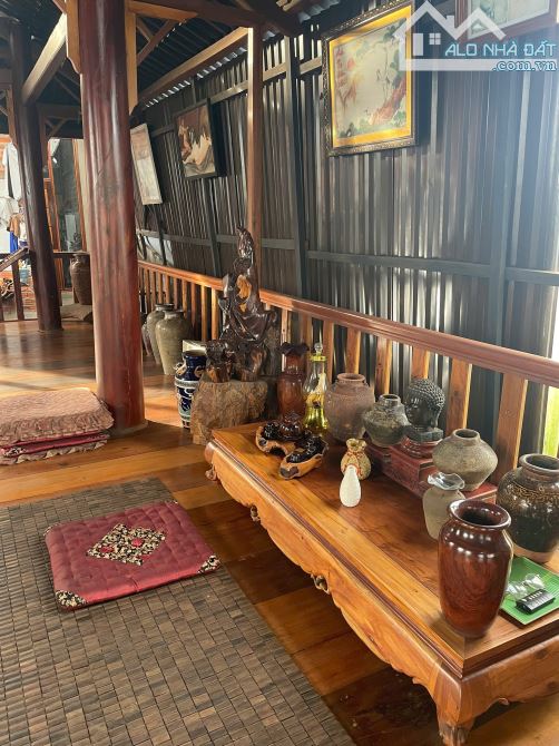 Bán Nhà mặt tiền Trường Chinh, P Chi Lăng, TP Pleiku, Gia Lai - 3