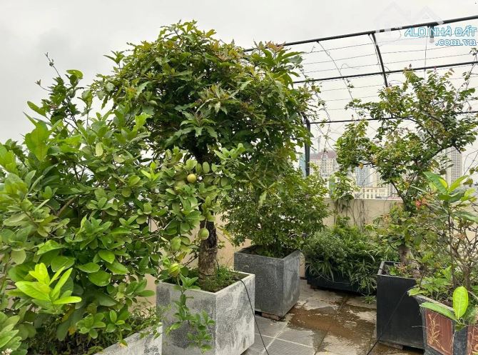 Bán tòa nhà văn phòng trên ở dưới cho thuê xây mới đẹp mặt phố Nguyễn Hoàng Tôn - 3