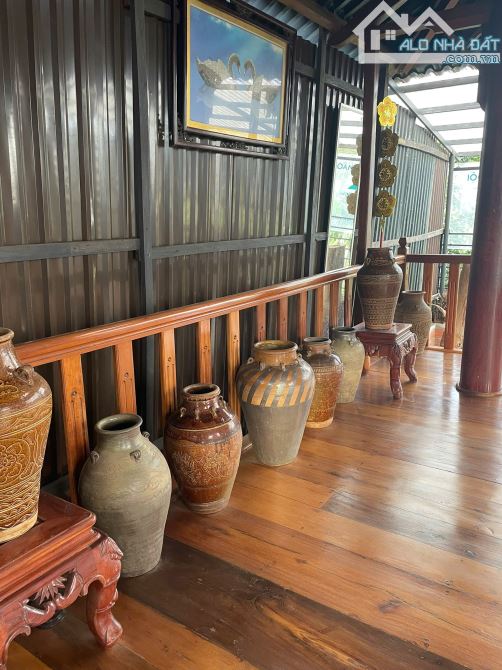 Bán Nhà mặt tiền Trường Chinh, P Chi Lăng, TP Pleiku, Gia Lai - 4