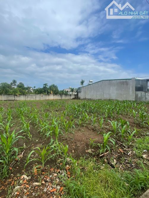 5x35m ĐẤT THỔ CƯ NGAY GẦN CHỢ DUY HOÀ. HẺM CẤP 1 QL14 - 4