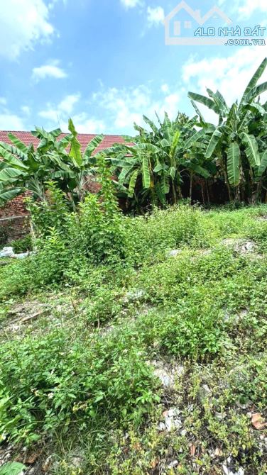 BÁN ĐẤT XÃ AN VIỄN, SỔ HỒNG 688m2 THỔ CƯ GẦN UBND, GIÁO XỨ XUÂN AN, ĐƯỜNG RỘNG 7m THÔNG - 5