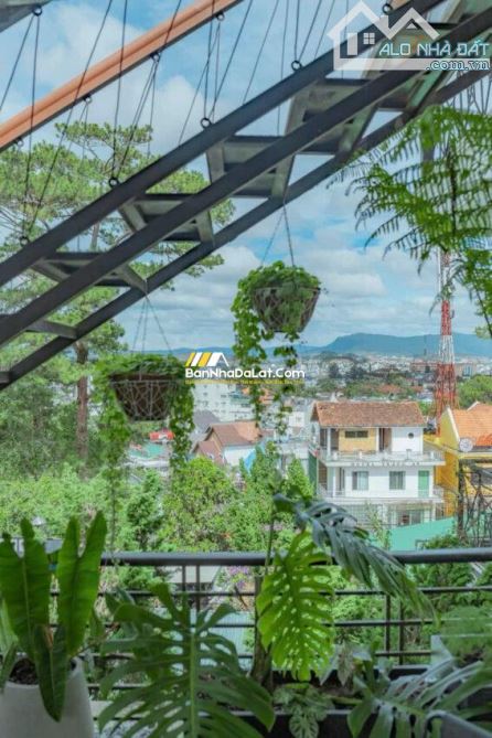 🏡Bán Biệt Thự Mặt tiền đường Nguyễn Viết Xuân, P4. DT: 352m2, cung đường đẹp giữa lòng TP - 5