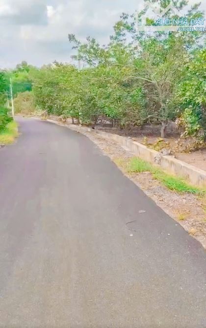 Cần bán 1 mẫu vườn trái cây 2 mặt tiền đường sẵn 300m2 thổ cư gần hồ Quảng Thành - 5