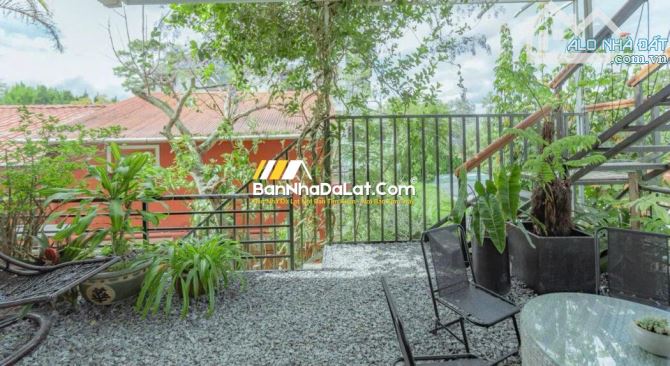 🏡Bán Biệt Thự Mặt tiền đường Nguyễn Viết Xuân, P4. DT: 352m2, cung đường đẹp giữa lòng TP - 6