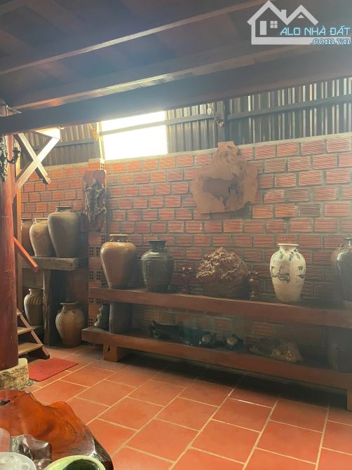 Bán Nhà mặt tiền Trường Chinh, P Chi Lăng, TP Pleiku, Gia Lai - 6